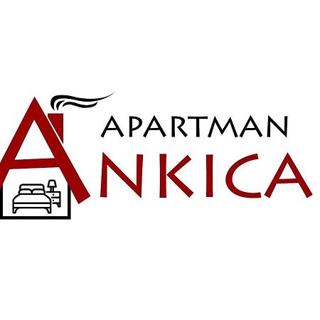 גולובאץ Apartman Ankica מראה חיצוני תמונה
