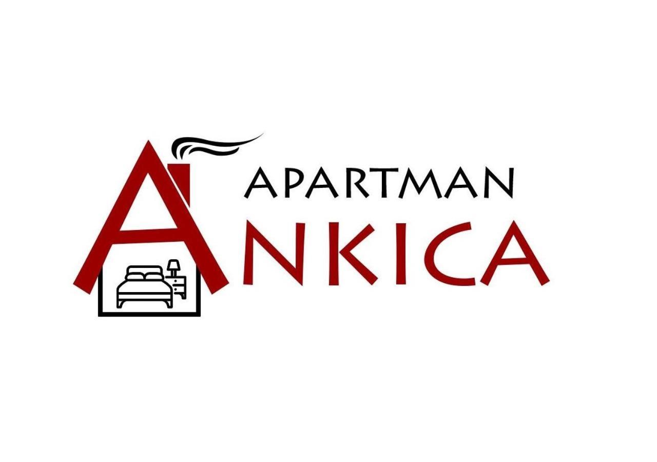 גולובאץ Apartman Ankica מראה חיצוני תמונה