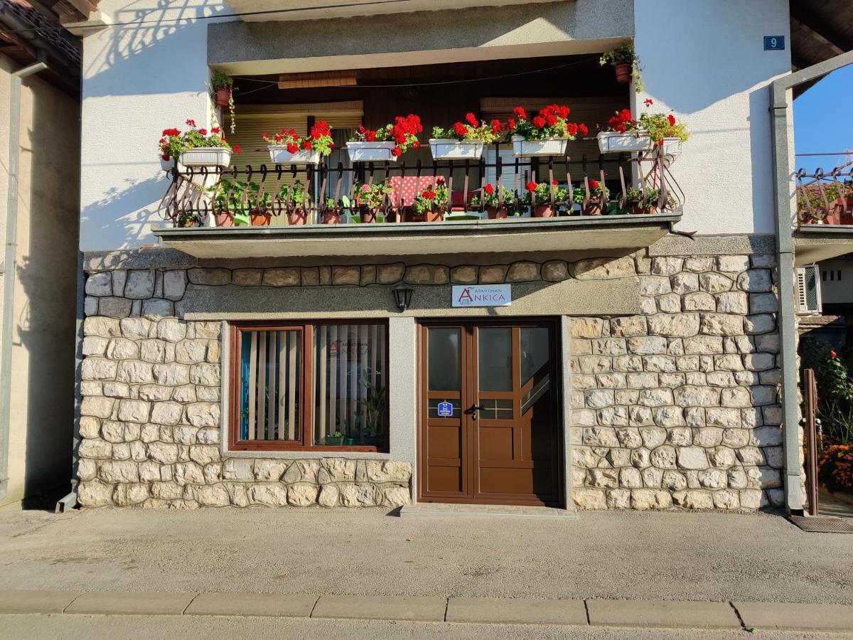 גולובאץ Apartman Ankica מראה חיצוני תמונה